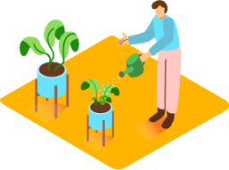 Watering Plant illustration