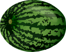 watermelon 02 icon