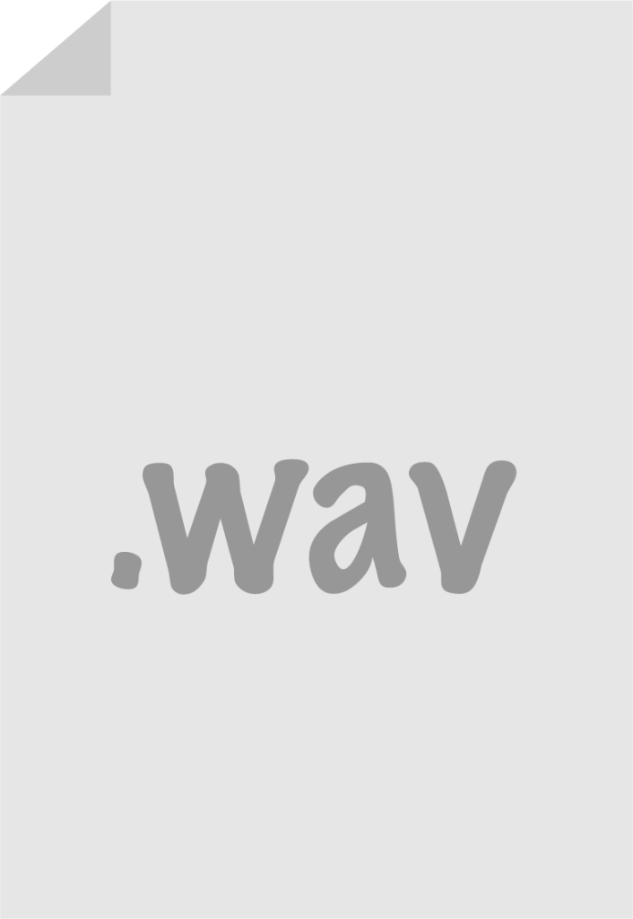 wav icon