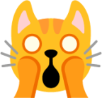 weary cat face emoji