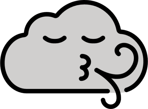wind face emoji