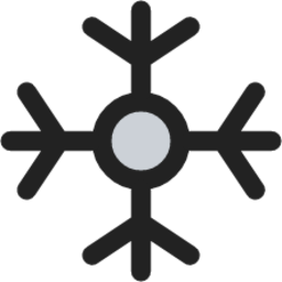 Winter duotone icon