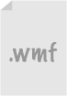 wmf icon