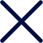 x 1 icon