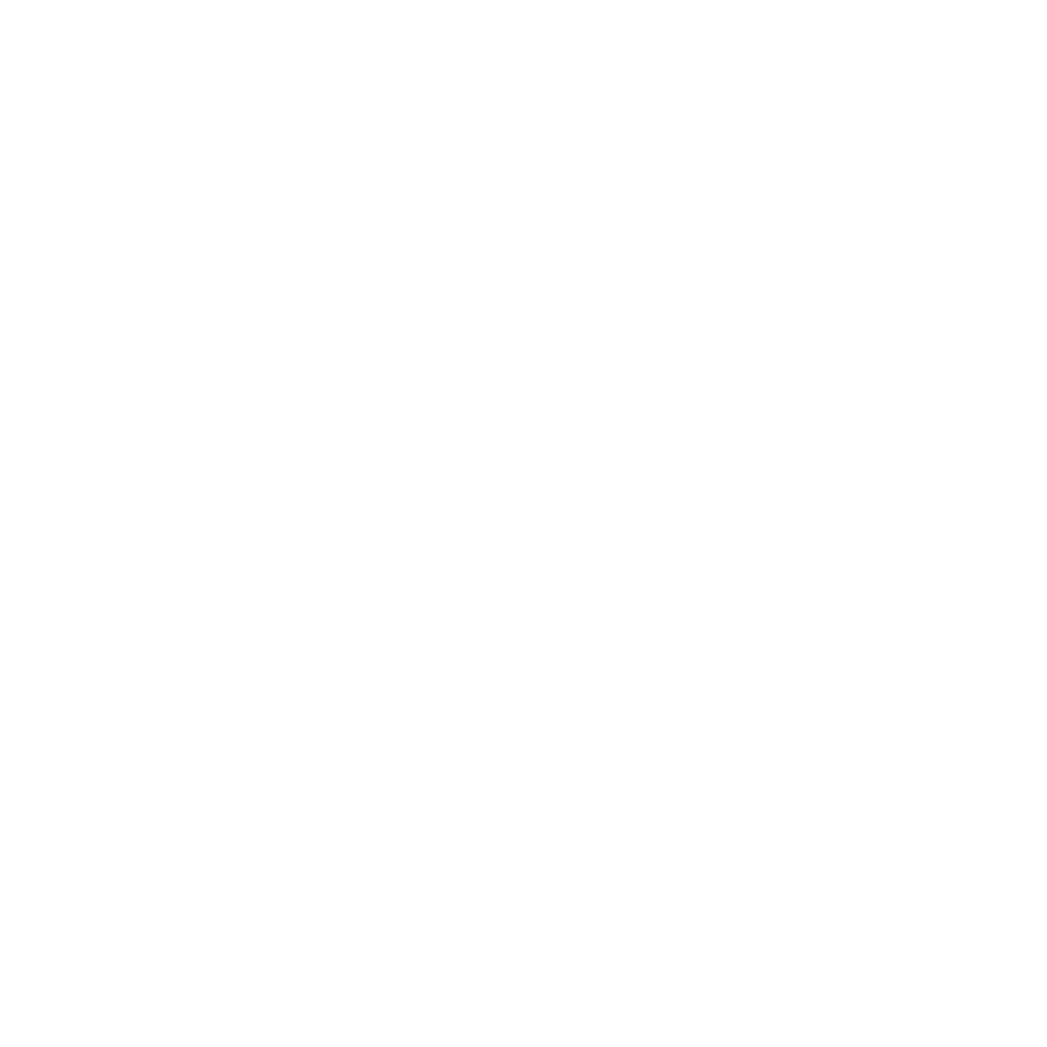 XPA Cryptocurrency icon