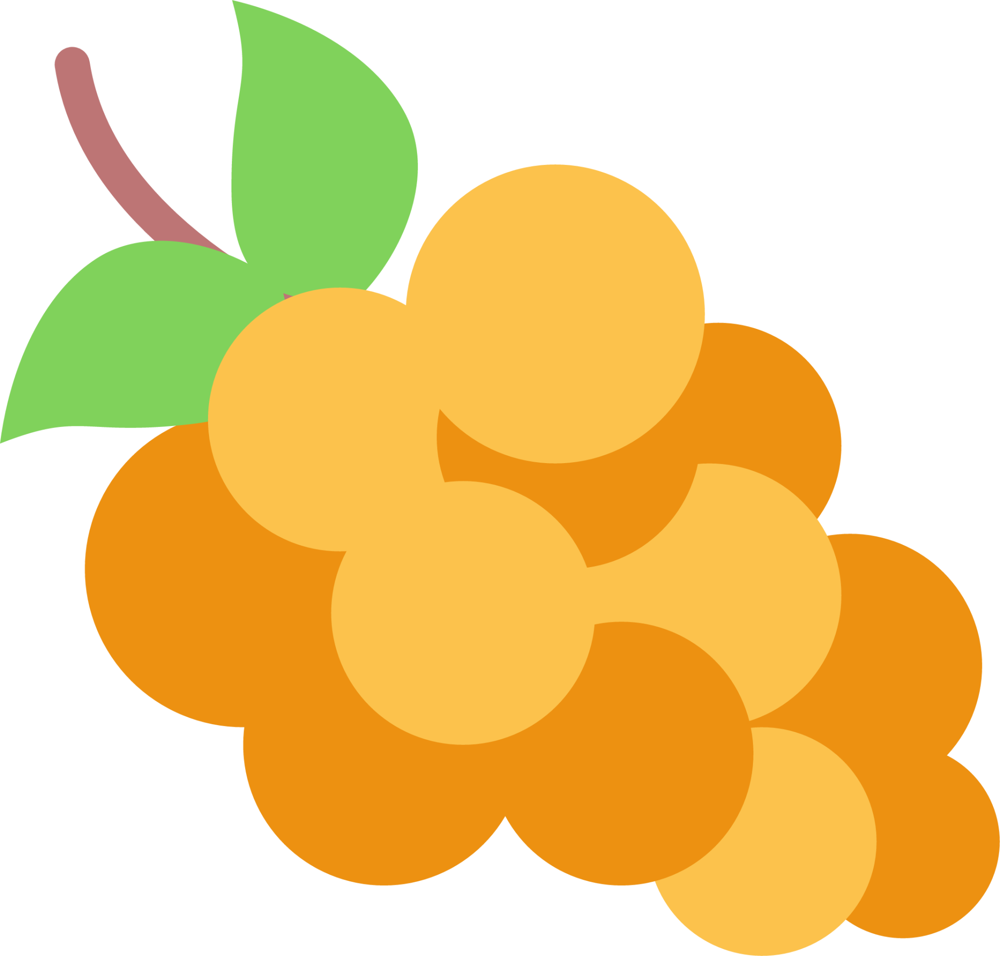 yellow grapes icon